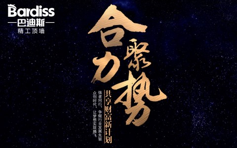 2017巴迪斯财富新計劃